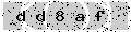 verify code
