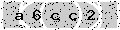 verify code