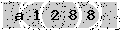 verify code