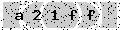 verify code