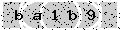 verify code