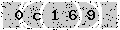 verify code