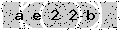 verify code