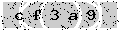 verify code