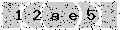 verify code