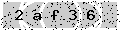 verify code