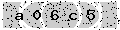 verify code