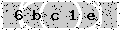 verify code
