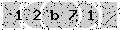 verify code