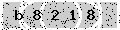 verify code