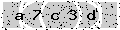verify code