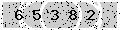 verify code