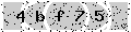 verify code