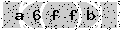 verify code