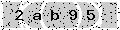 verify code