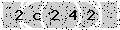 verify code