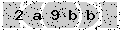 verify code