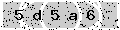 verify code