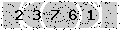 verify code