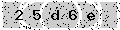 verify code