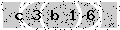 verify code