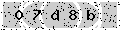 verify code
