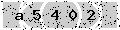 verify code