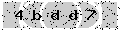 verify code