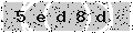 verify code