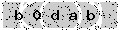 verify code