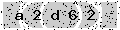 verify code