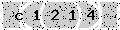 verify code
