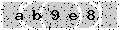 verify code