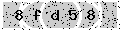 verify code