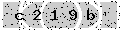 verify code