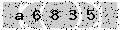 verify code