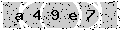 verify code