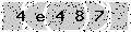 verify code