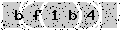 verify code