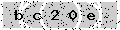 verify code